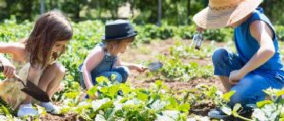 7 Un giardino da vivere in compagnia.jpg